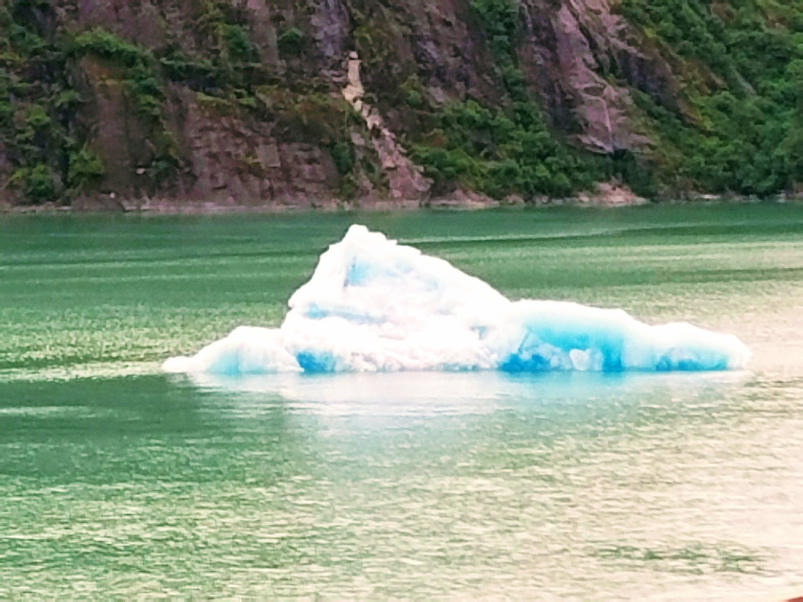 A bright blue iceberg floating on jade-green water below a grey granite cliff in Tracy Arm Fjord